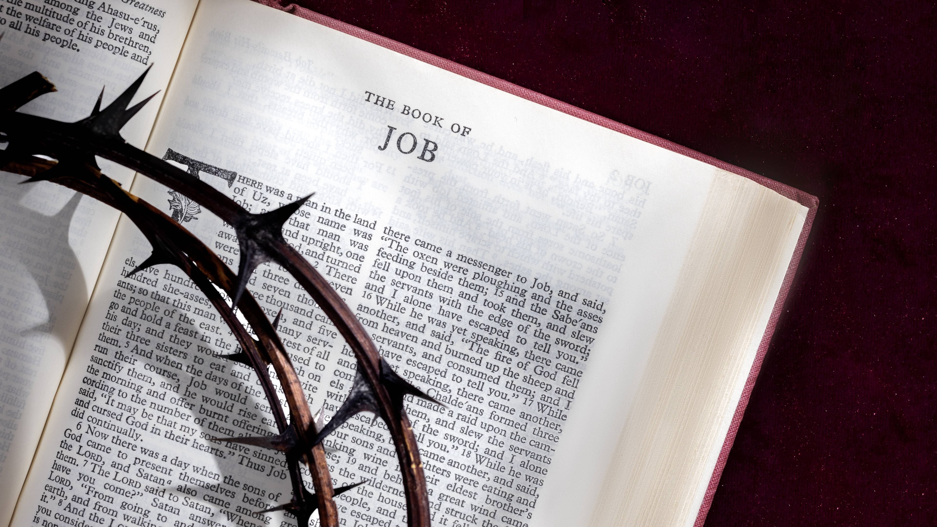 new testament